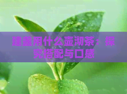 建盏用什么壶沏茶：探究搭配与口感