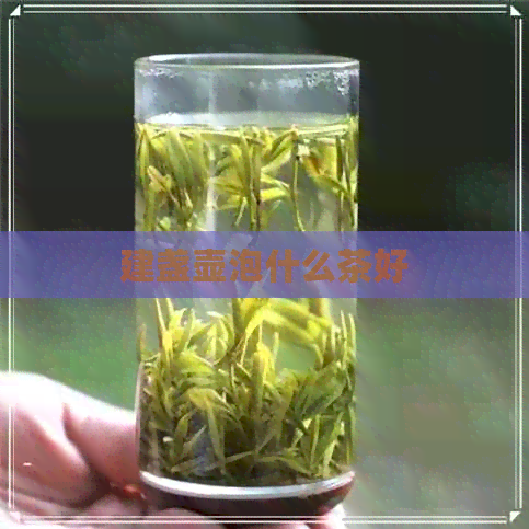 建盏壶泡什么茶好