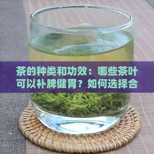 茶的种类和功效：哪些茶叶可以补脾健胃？如何选择合适的茶叶来改善脾功能？