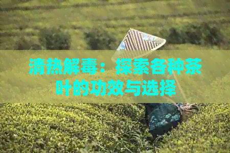 清热解：探索各种茶叶的功效与选择