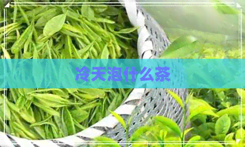 冷天泡什么茶