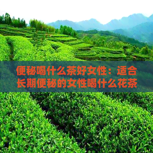 便秘喝什么茶好女性：适合长期便秘的女性喝什么花茶润肠通便