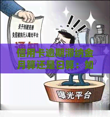 信用卡逾期滞纳金月算还是日算：如何计算信用卡逾期滞纳金？