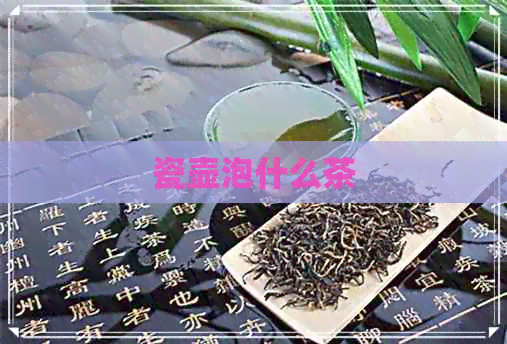 瓷壶泡什么茶