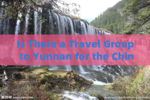 Is There a Travel Group to Yunnan for the Chinese New Year This Year?