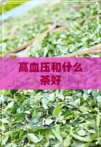 高血压和什么茶好