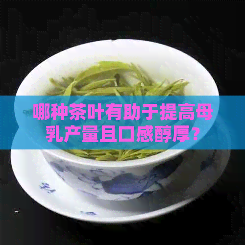 哪种茶叶有助于提高母乳产量且口感醇厚？