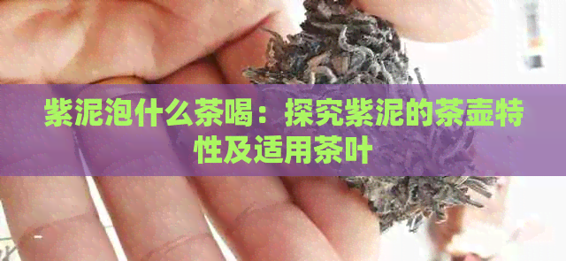 紫泥泡什么茶喝：探究紫泥的茶壶特性及适用茶叶