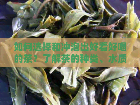 如何选择和冲泡出好看好喝的茶？了解茶的种类、水质、冲泡技巧等全方位指南