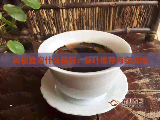 笑樱壶泡什么茶好：茶叶推荐与实选择