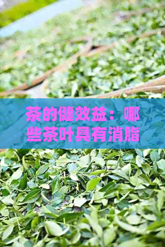 茶的健效益：哪些茶叶具有消脂效果？