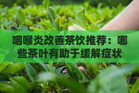 咽喉炎改善茶饮推荐：哪些茶叶有助于缓解症状与复？