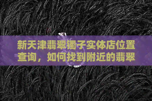 新天津翡翠镯子实体店位置查询，如何找到附近的翡翠专卖店？