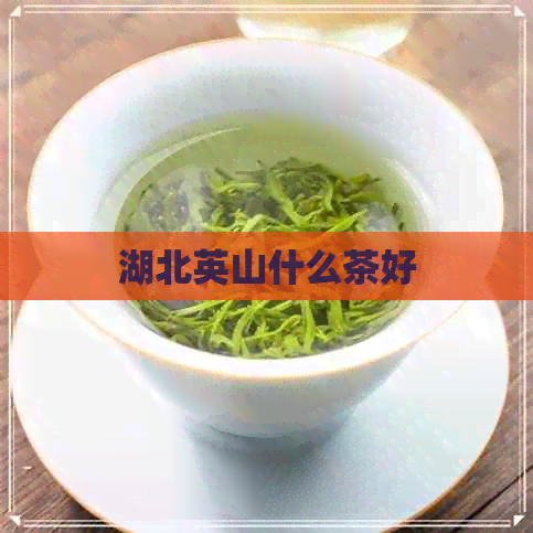 湖北英山什么茶好