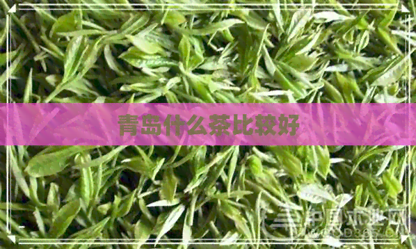 青岛什么茶比较好