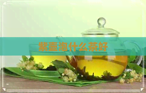 紫壶泡什么茶好