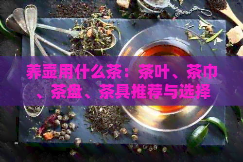 养壶用什么茶：茶叶、茶巾、茶盘、茶具推荐与选择