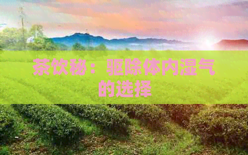 茶饮秘：驱除体内湿气的选择