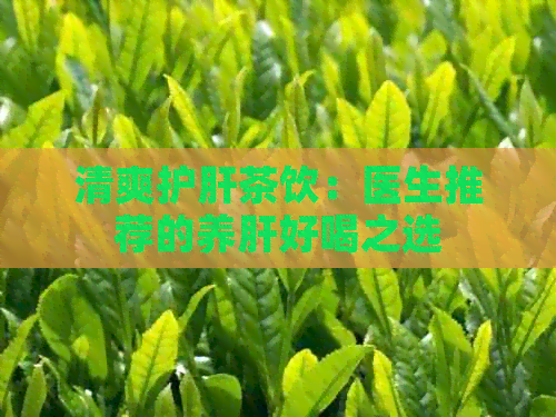 清爽护肝茶饮：医生推荐的养肝好喝之选