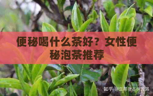 便秘喝什么茶好？女性便秘泡茶推荐