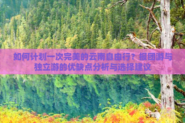 如何计划一次完美的云南自由行？报团游与独立游的优缺点分析与选择建议