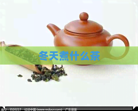 冬天煮什么茶