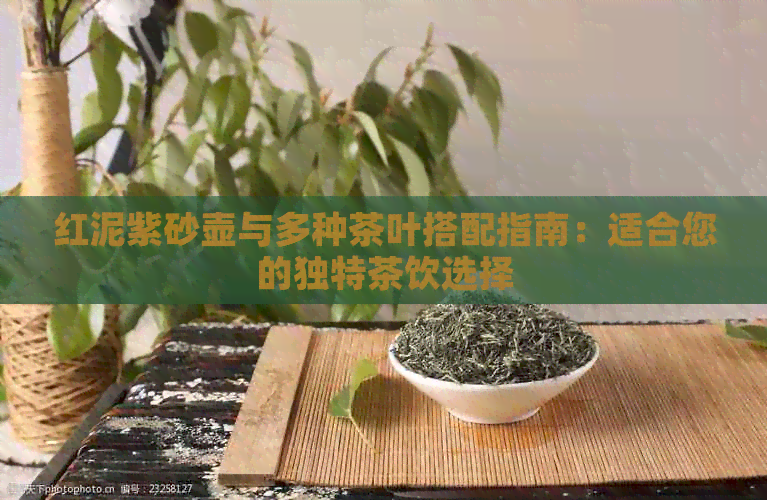 红泥紫砂壶与多种茶叶搭配指南：适合您的独特茶饮选择