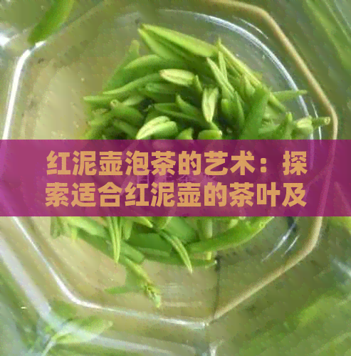 红泥壶泡茶的艺术：探索适合红泥壶的茶叶及泡茶方法