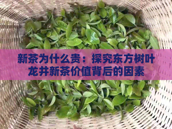 新茶为什么贵：探究东方树叶龙井新茶价值背后的因素