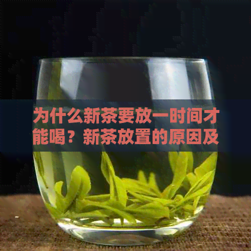 为什么新茶要放一时间才能喝？新茶放置的原因及其与冰箱的关系