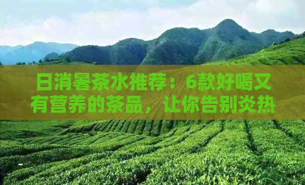 日消暑茶水推荐：6款好喝又有营养的茶品，让你告别炎热