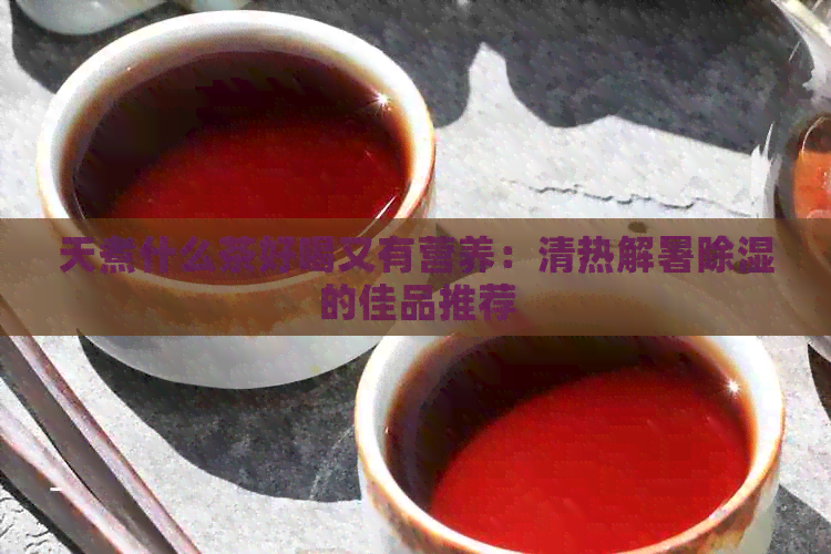 天煮什么茶好喝又有营养：清热解暑除湿的佳品推荐