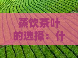 蒸饮茶叶的选择：什么茶适合蒸汽冲泡？