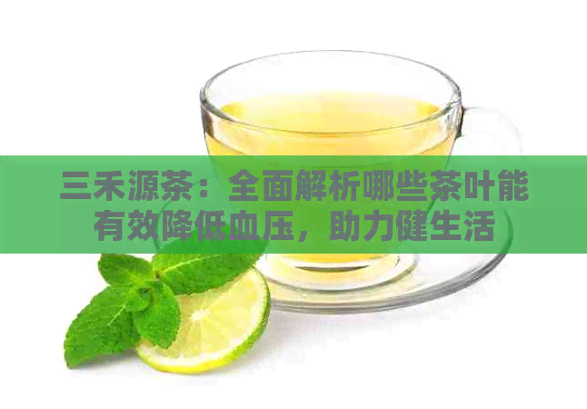 三禾源茶：全面解析哪些茶叶能有效降低血压，助力健生活