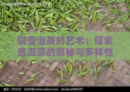 铜壶泡茶的艺术：探索普洱茶的奥秘与多样性