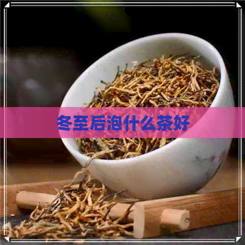 冬至后泡什么茶好