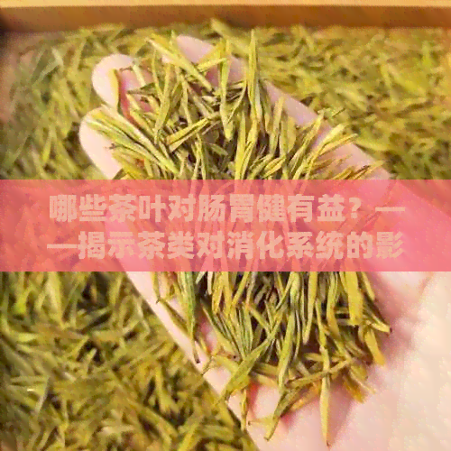 哪些茶叶对肠胃健有益？——揭示茶类对消化系统的影响