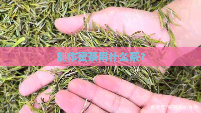 制作蜜茶用什么茶？