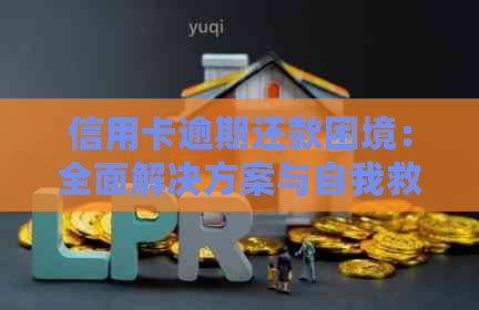 信用卡逾期还款困境：全面解决方案与自我救赎指南