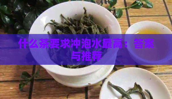 什么茶要求冲泡水更高：答案与推荐