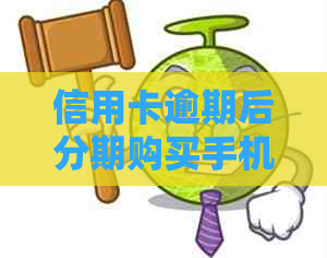 信用卡逾期后分期购买手机的安全性及可行性分析，最新资讯