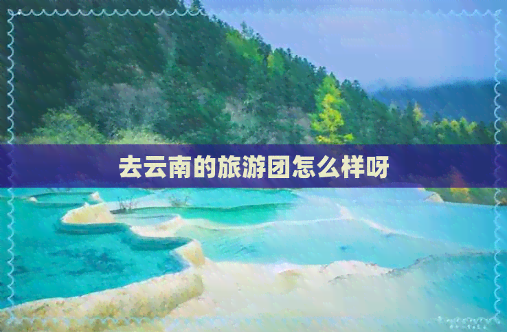 去云南的旅游团怎么样呀