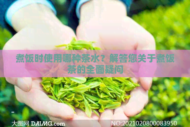 煮饭时使用哪种茶水？解答您关于煮饭茶的全面疑问