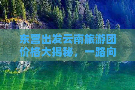 东营出发云南旅游团价格大揭秘，一路向南享受春意盎然