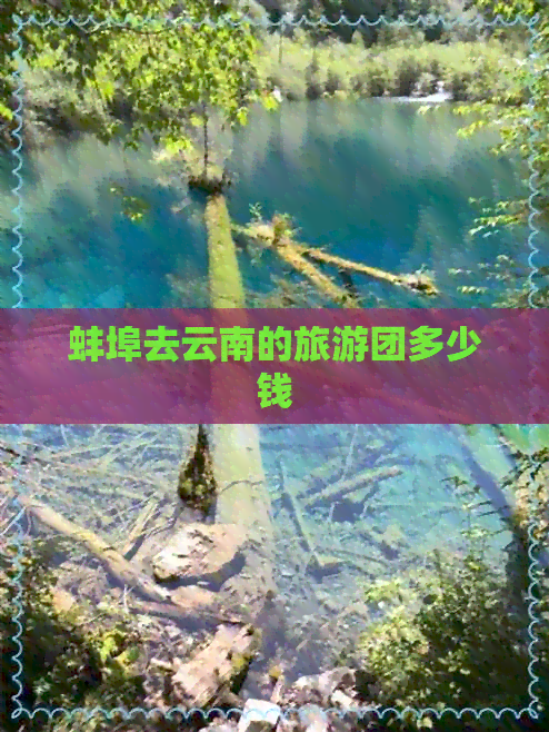 蚌埠去云南的旅游团多少钱