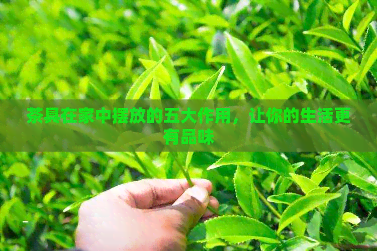 茶具在家中摆放的五大作用，让你的生活更有品味