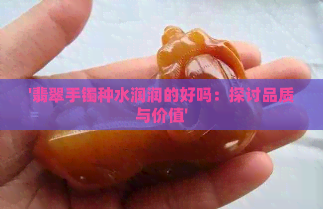 '翡翠手镯种水润润的好吗：探讨品质与价值'