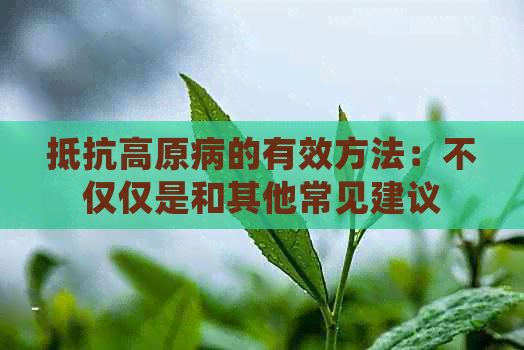 抵抗高原病的有效方法：不仅仅是和其他常见建议