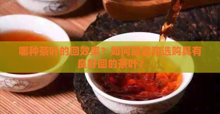 哪种茶叶的回效果？如何品尝和选购具有良好回的茶叶？