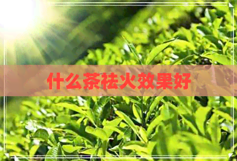 什么茶祛火效果好